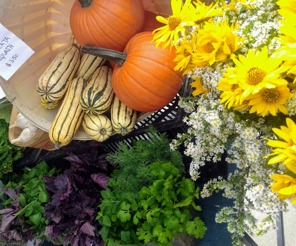 If you're having your #Thanksgiving meal today and just chillin' tomorrow, consider joining us at the market from 3-7pm. We will be celebrating the pumpkin with kids activities and #giveaways!

#pumpkinfestival #pumpkinlove #cloverroadsfarm #thankafarmer