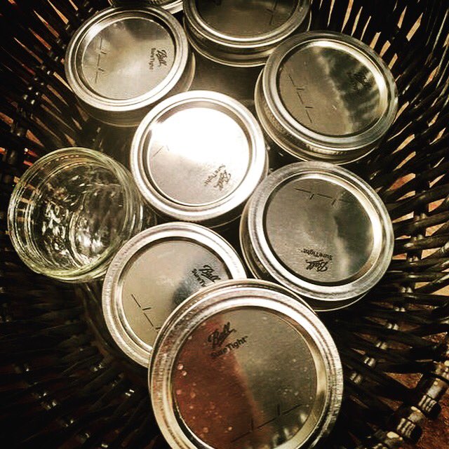 Becca uses these cute Ball #jars to #organize her #spices! What would YOU use them for? FOOD? #CRAFTS? DRINKING GLASSES?! 💙 bluebirdandblackberries.com/individual/spi… #bluebirdandblackberries 
#balljars #spicestorage #organization #spicerack #spiceorganization #homeorganization #organizationtips