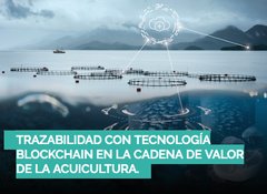 IPacuicultura's tweet photo. #SemanaIPac: #Acuiplus organiza en Madrid una jornada sobre #trazabilidad con tecnología #blockchain en la cadena de valor de la #acuicultura https://t.co/in2Tzf3Qpd 
Será el 26 de octubre de 2018 https://t.co/ZhqCmTyDSK