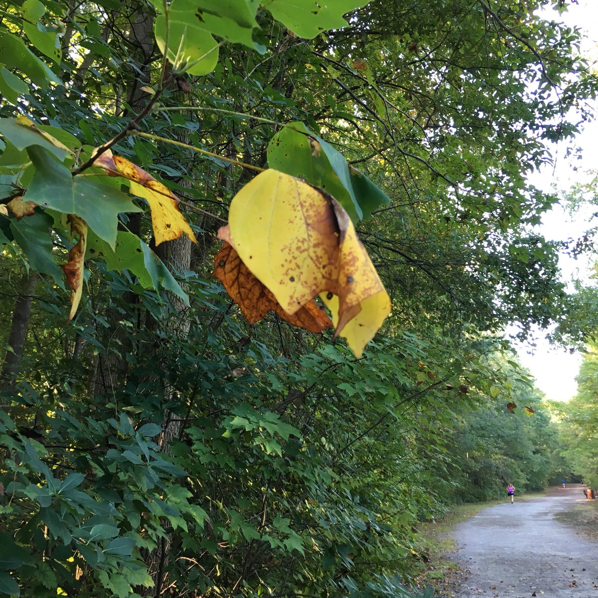 emotionalguide2's tweet photo. The magic of nature! https://t.co/PNUegnvYMc