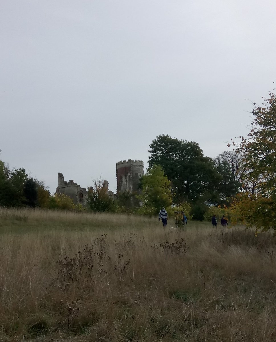 AbiEdwards7's tweet photo. Great run this morning at #hoohaah  can't think of a better way to spend an autumn morning raising money for Addenbrookes Charitable Trust https://t.co/8jkrislWA5