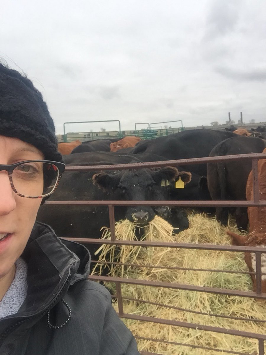 AgGalJones's tweet photo. Happy Thanksgiving weekend to all. I’m thankful to spend time with my family being told how f...fantastic I am. LOL. #chasingcows https://t.co/75b3oG7pWl