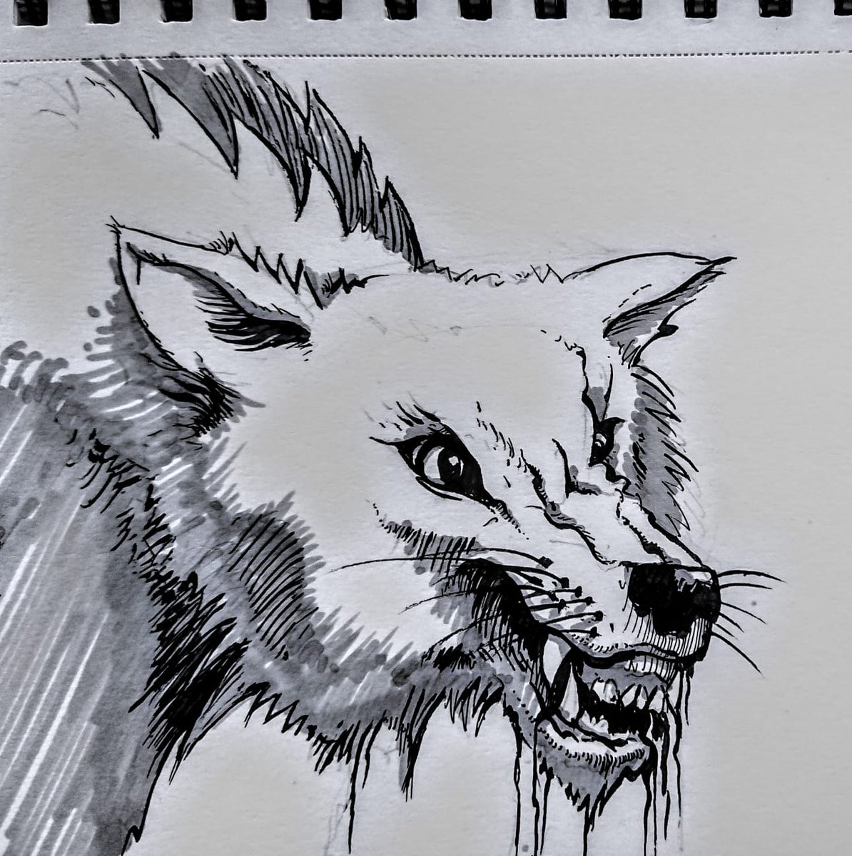 SarahLOxford's tweet photo. #inktober #inktober2018 Drooling, Chicken and Exhausted
https://t.co/VoC6E3MkRm https://t.co/XTmUX7n8Bq