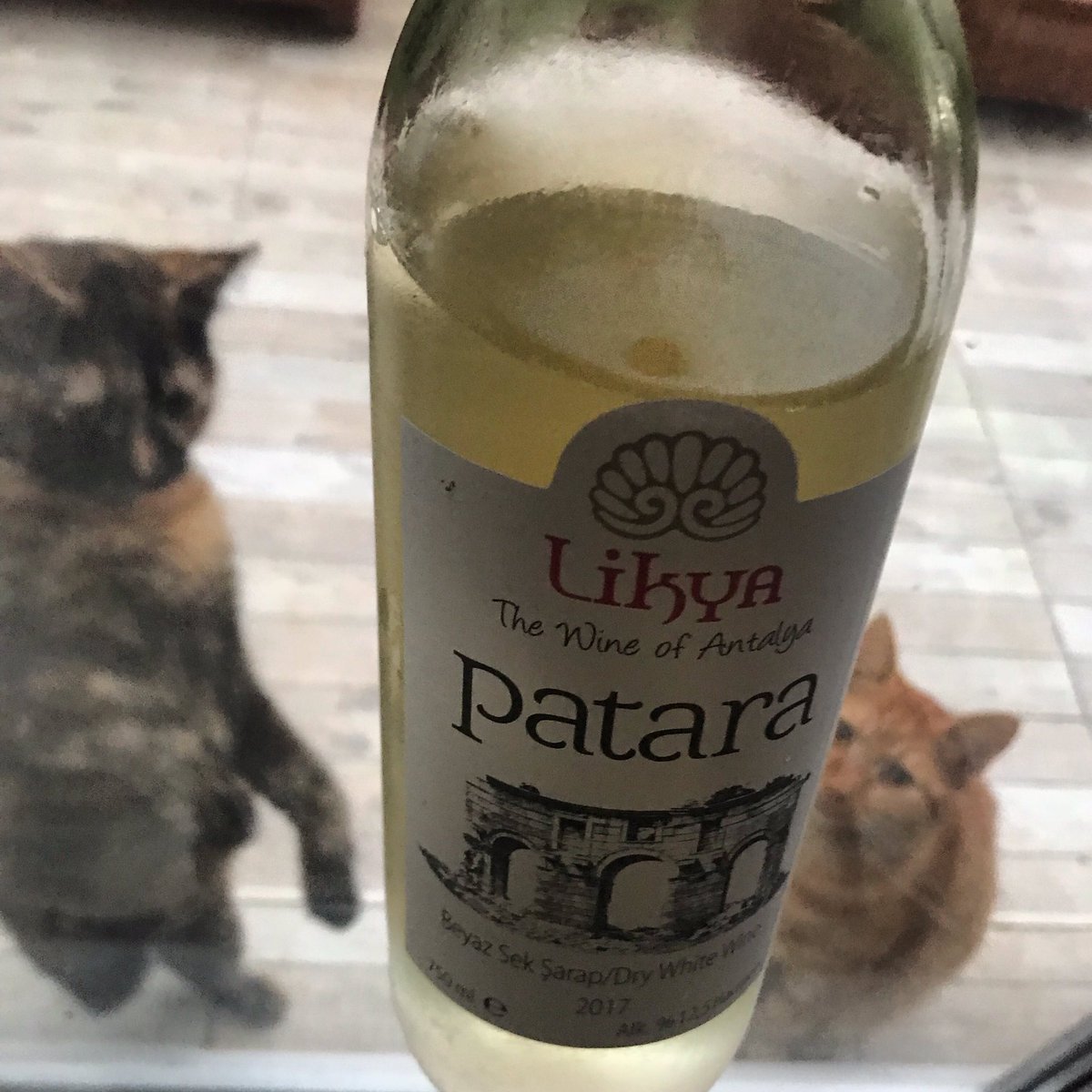 keyifnotlari's tweet photo. Likya Patara Beyaz 2017 #beyazşarap #calibag #chardonnay #sauvignonblanc #likyayolu #likyawines #keyifnotlari #weinatolien #turkishairlines #turkishwineshop #cat #catsofinstagram #cats #pic #winelover #winelovers🍷 #winepic https://t.co/BmN7N3cr3J