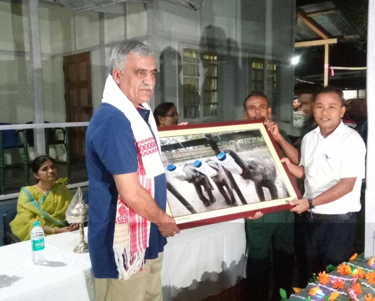 panjit basumatary tweet media