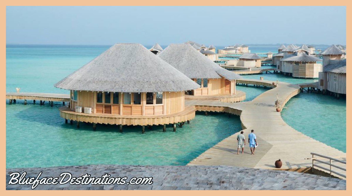 Mzfaithfulntrue's tweet photo. The #Maldives is a tropical nation in the Indian Ocean #iBookWithBlueface #BluefaceDestinations #LuxuryTravel #TravelLife #TravelTime #LuxuryLife @Blueface_Dest #Traveling #Trips #Travel #Tropical #Ocean #iTravel #iExplore #Vacations #Getaways #VacationLife #Travelers #Blueface https://t.co/sPCsOeRsLj