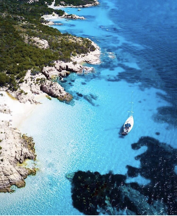 TeamSarda's tweet photo. Welcome to #Sardegna #Sardinia #Sardinien 🌸🌴☀
•
Have a nice weekend! 🌤️
•
📷  fabi.lng  #sailing⁠ ⁠ #yacht #boattrip #beach #italy #Herbst #autumn #luxury #fernweh #wanderlust #holidayfun #Enjoy https://t.co/GeEReXLbXs