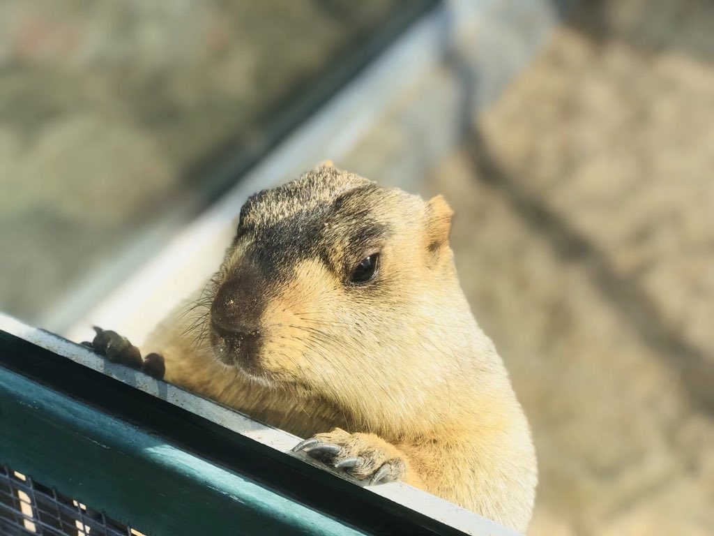 Tedy (@tedzxy) on Twitter photo 