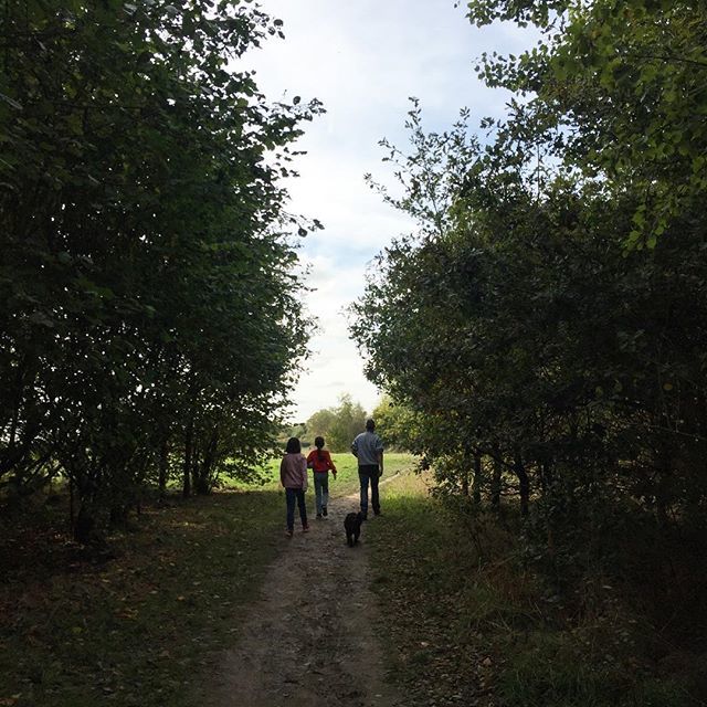 Marianne_Weekes's tweet image. Fab walk today with the dog who once home - much to his dislike - got a bath. He was not impressed and us currently ignoring all of us. #happysundays #lifewithadog #walkingbaxter #fundaysunday #walkinthepark ift.tt/2NutRx9