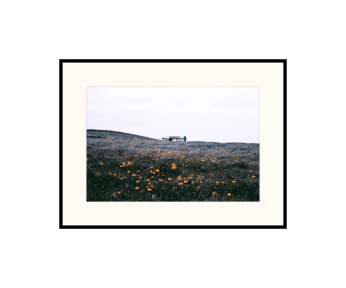 danscapephoto's tweet photo. Old Shed in a Spring Field. Peak District Print. Spring Wall Art. Original Photograph. Yellow Flower Print. https://t.co/v3G96m35TU #print #MyNewTag #Art #Photography #gift #handmade #wall art #Outdoors #art #YellowPrint https://t.co/XcIAn13fdE