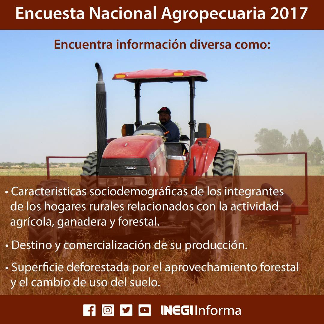 INEGI_INFORMA's tweet photo. #DatoINEGI La mano de obra femenina en el campo se da principalmente en #Chihuahua con 32.0%, #BC con 26.6% y en #Edomex con 25.5% #ENA2017 https://t.co/ivHOv3eIfV https://t.co/J5U42nWzZS