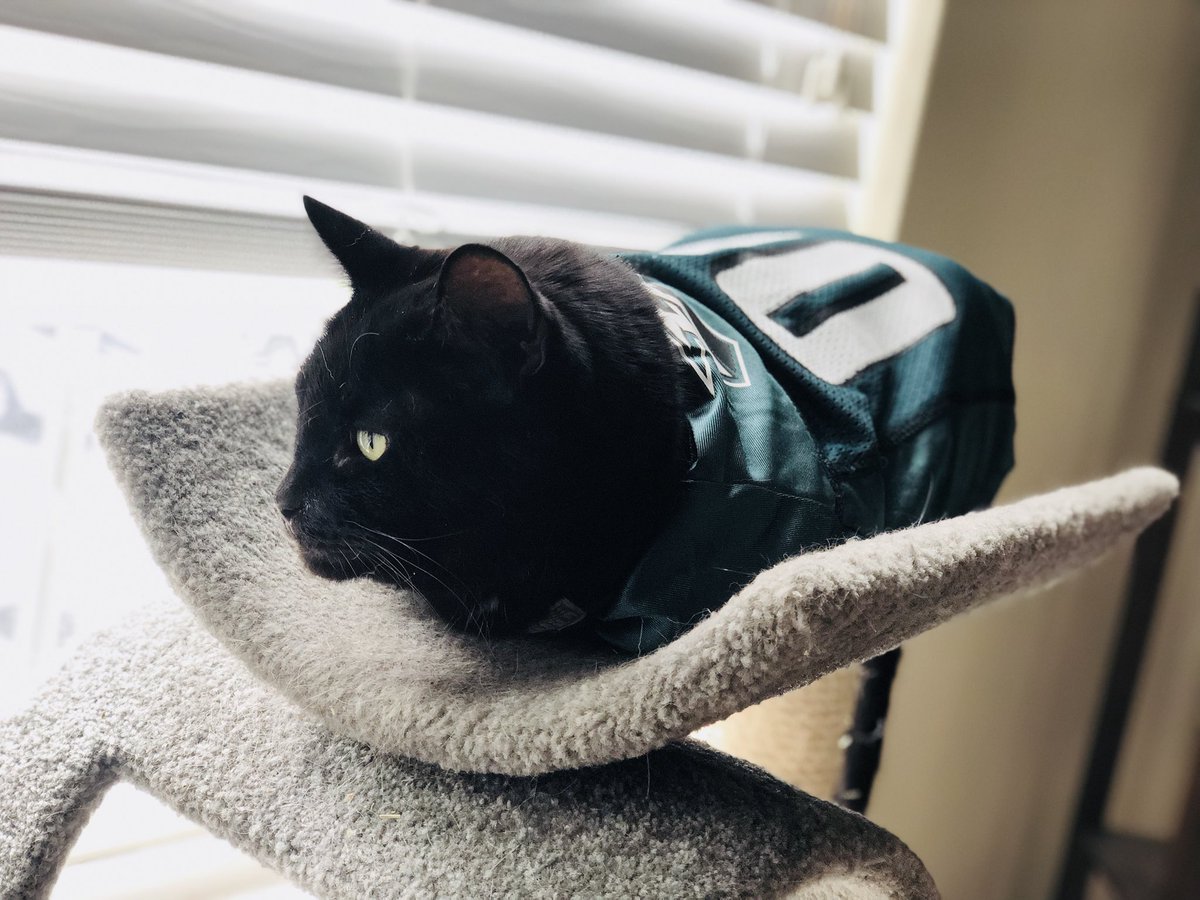 That’s my baby 💚😻 #FlyEaglesFly #PhiladelphiaEagles #PhillyCats