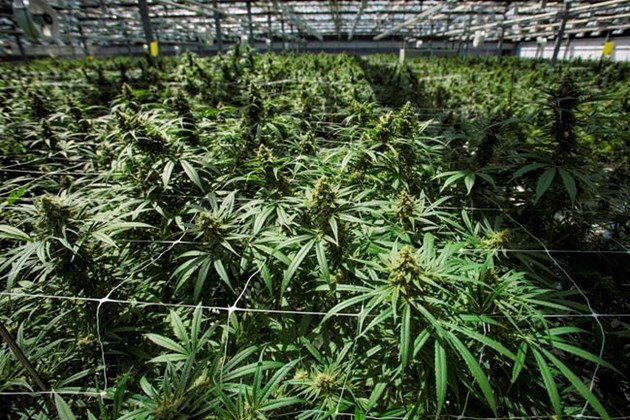 Five things to watch for in the Canadian business world in the coming week.  bit.ly/2OOQUYB https://t.co/KcyUY9X97P