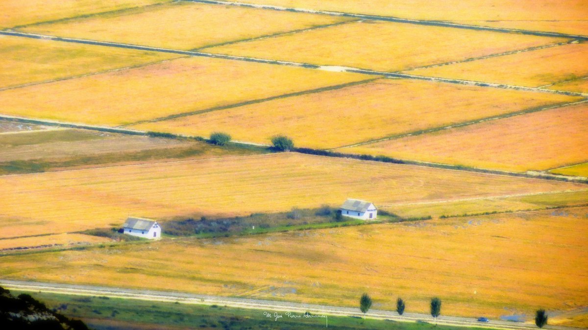 Desde La Foradada con amor...
Les Barraquetes del Delta.

<a href="/SoniaPapell/">Sònia Papell Caimons</a> <a href="/terresebretur/">Terres de l'Ebre</a> <a href="/canalte/">Canal TE - Canal Terres de l'Ebre</a> @MeteoMauri <a href="/TurismeLaRapita/">Turisme la Ràpita</a> <a href="/gloriuesvida/">Generació #LoRiuÉsVida</a> <a href="/salvemlodelta/">Salvem lo Delta</a>