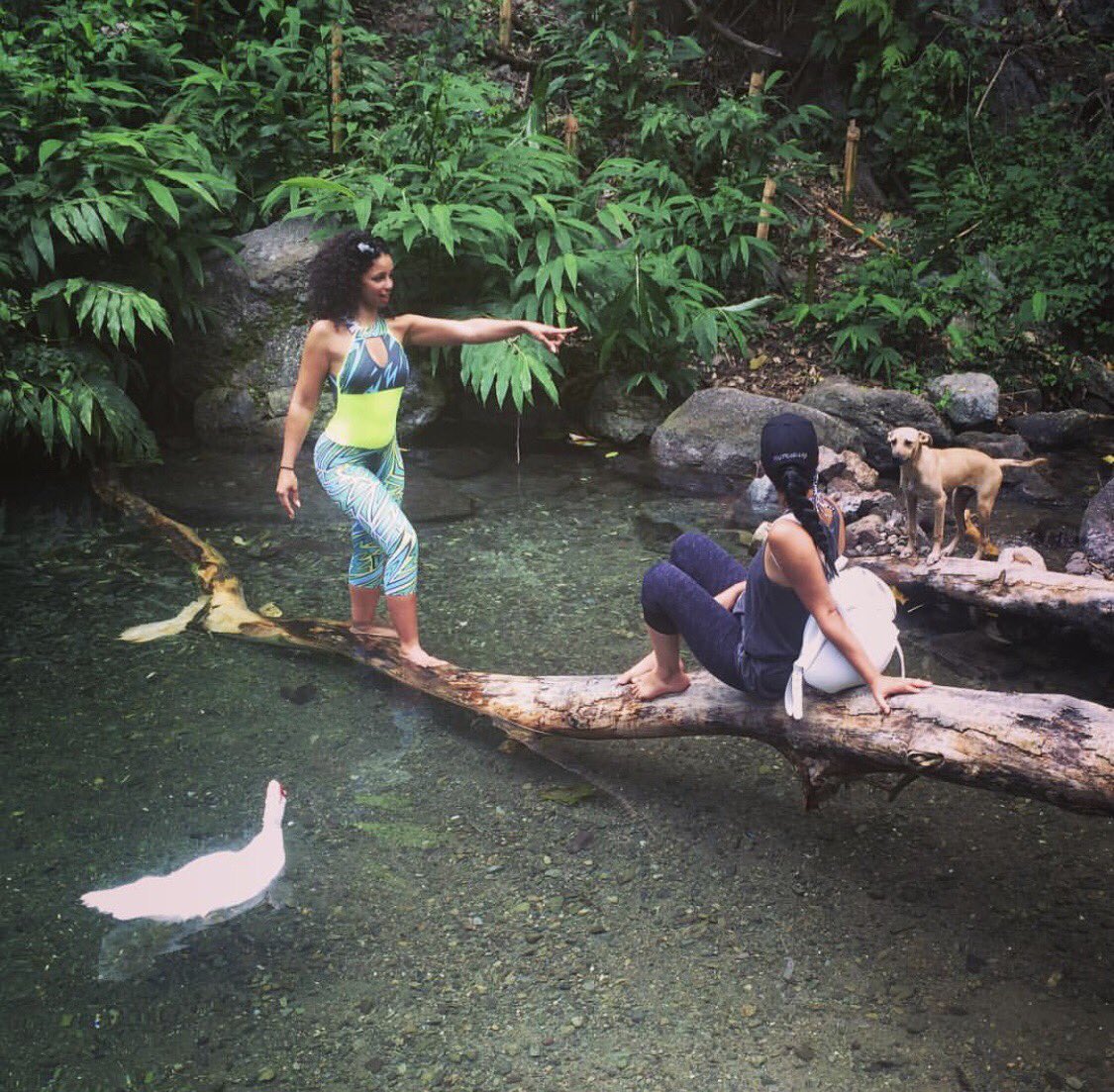 MYAPLANET9's tweet photo. #SimpleThings #Sunday #bluemountains #Jamaica at #mineralspring w @ziggazaggastudio #naturelovers 🌿🍃🐢🐶🐾💚 https://t.co/2LbTTc9pP0