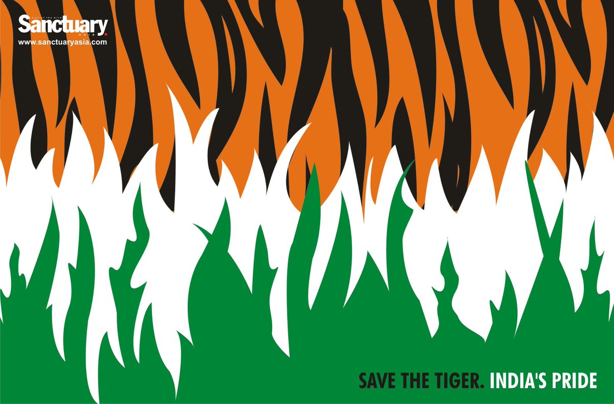 BittuSahgal's tweet photo. Patriotism does not need you to thump your chest. It needs you to protect the soil, water and air that made India India. The tiger is a metaphor for this. Environmental protection is patriotism in action. @SanctuaryAsia https://t.co/onmpJSlT4t