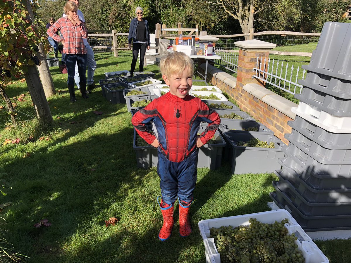 Every harvest needs a superhero.