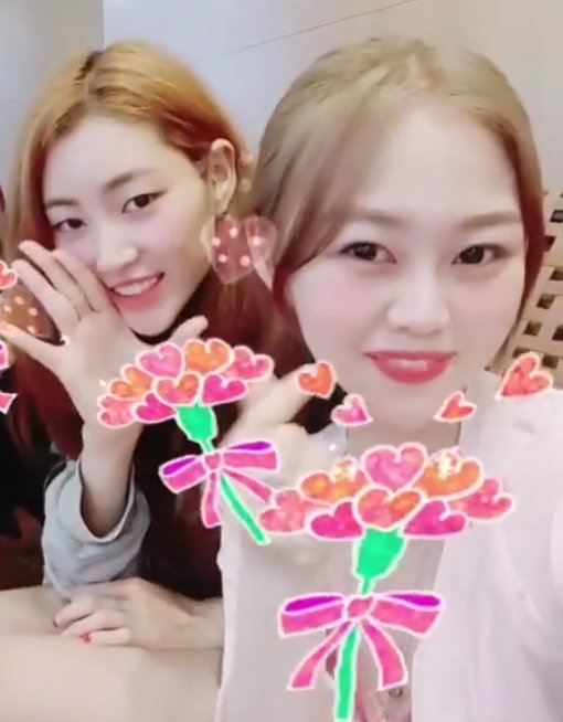 cheheepics's tweet photo. #HappyRuiDay 💗💐 https://t.co/FXWecipb1Q