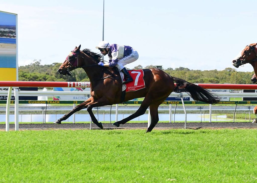 AquisFarm's tweet photo. ANOTHER winner for #Domesday with #Prepee winning over 1200m yesterday joining #ExtraBrut and #JuniorBurger who won at #RoyalRandwick on Saturday!
#Domesday is the son of Red Ransom and sire of Group 1 winners Daysee Doom, Ruthven, Pressday and Doctor Doom. https://t.co/aIe2Hjke6E