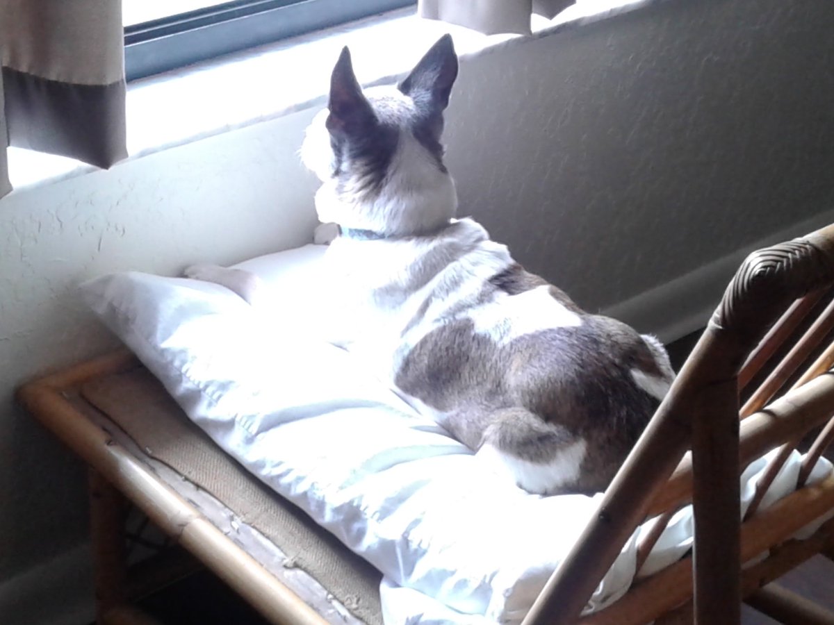 Patook416 tweet picture