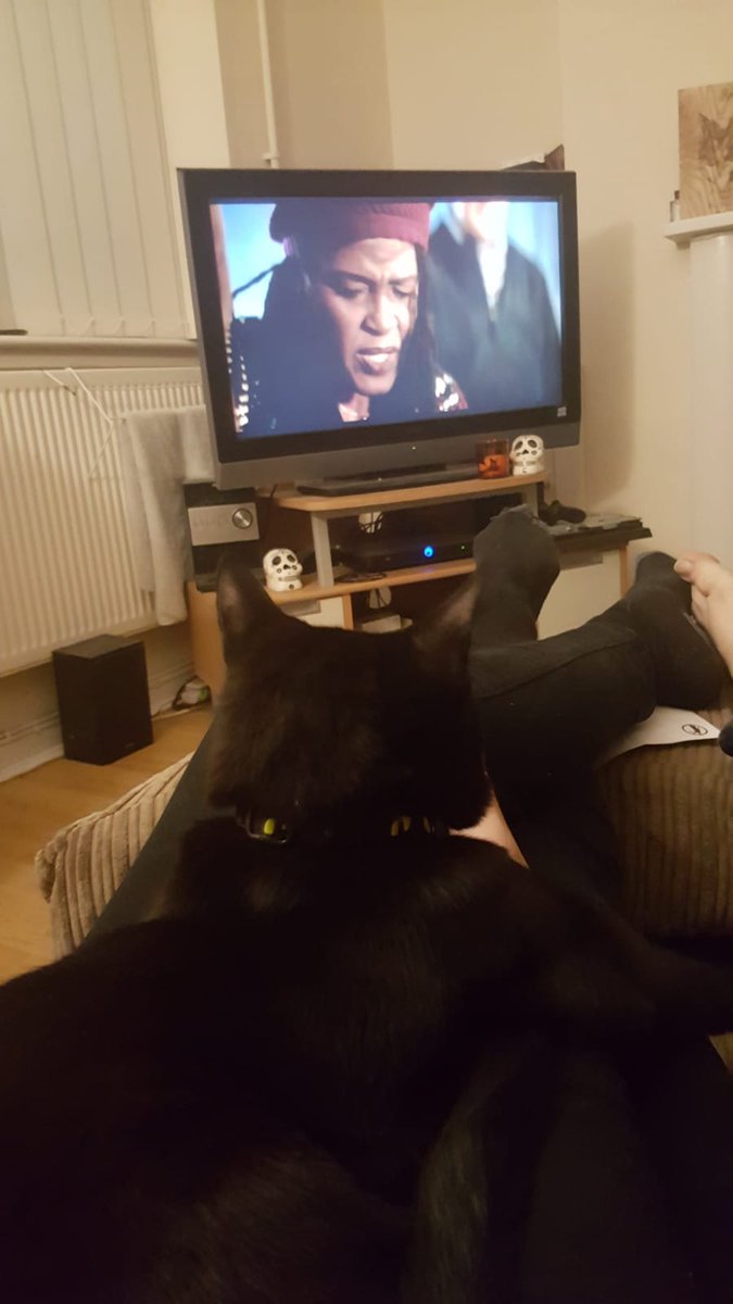 paws_sir's tweet photo. Shhhhh hooman I am watching and learning how to enlist this "Doctor" person to help with me with my world domination plans. #paws4overlord #CatsOfTwitter #fluffywrath #meowpost #cat #CatBoxSunday #DoctorWho https://t.co/O8Hp5LSeGI