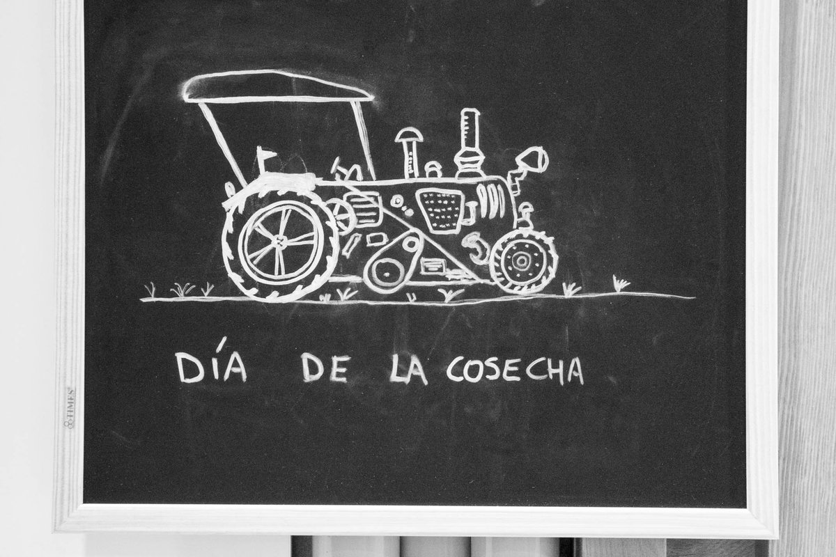 Nuestra asociación está formada por pequeños productores locales y no podemos estar más orgullosos de ello. 

#DíaDeLaCosecha #RevoluciónDeProductores 👉 bit.ly/2nmksgo