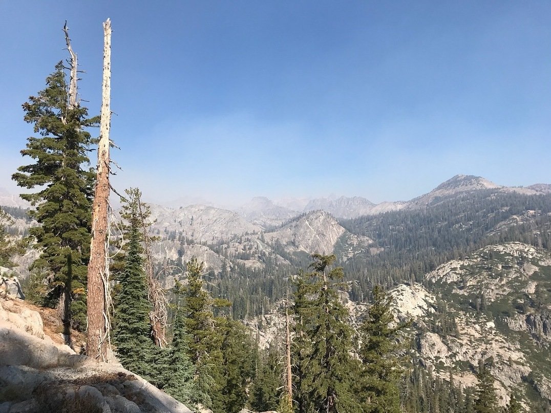 US_Wildfire's tweet photo. Hard truth - some fires will be allowed to burn. Managers need the social license to manage in this way. Is this a risk? You bet. But at some point, we all have to be willing to take a little risk to make a dent towards forest health and forest resiliency. https://t.co/aYSjlCNESC https://t.co/lCxnKIuRib