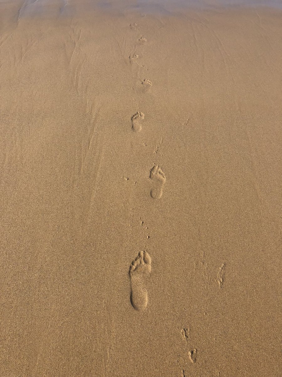 DrMichelleBloor's tweet image. Day 3 of the #CERES fieldwork meeting resulted in a course name followed by swimming and a wonderful goodbye dinner. #fieldworkisfun @UOP_sees_swan @UOP_SEES @UopEnvsci