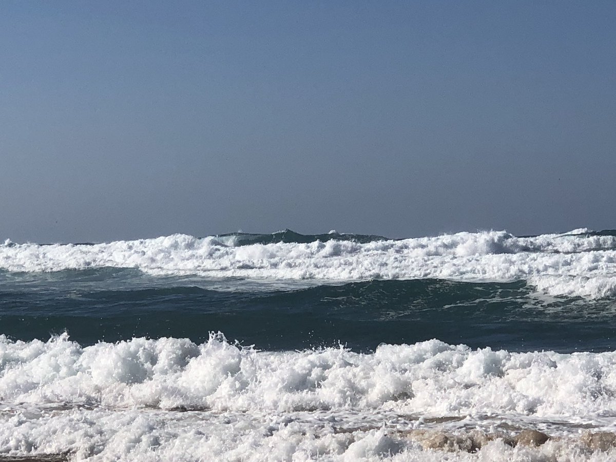 DrMichelleBloor's tweet image. Day 3 of the #CERES fieldwork meeting resulted in a course name followed by swimming and a wonderful goodbye dinner. #fieldworkisfun @UOP_sees_swan @UOP_SEES @UopEnvsci