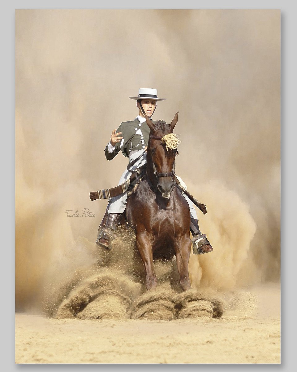 edupenafoto's tweet photo. Enhorabuena a Álvaro Teba del Pino y "Tiburona" - Campeones de España de Doma Vaquera 2018. #CampeonesDeEspaña #DomaVaquera #2018 #caballo #jinetesvaqueros https://t.co/yziIFqcXeN