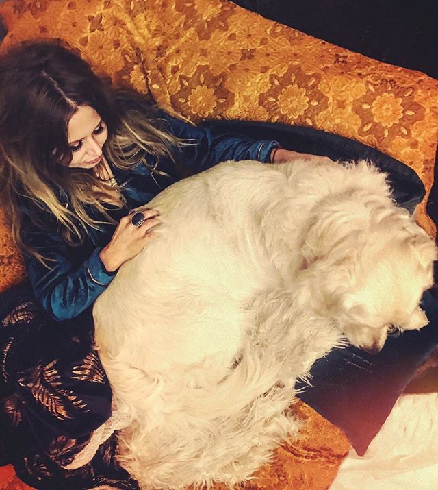 Squished!! Small lap, big dog. He really is Falkor 💙💙💙.
.
.
#howivintage #howithrift #homevibes #beautifulblyton #goldenretriever #goldenretrieverlove #goldenretrieverofinstagram #sundaynight #asundaywellspent #brocade #velvet #lapdog #weekendvibes #… ift.tt/2Pl7BHN