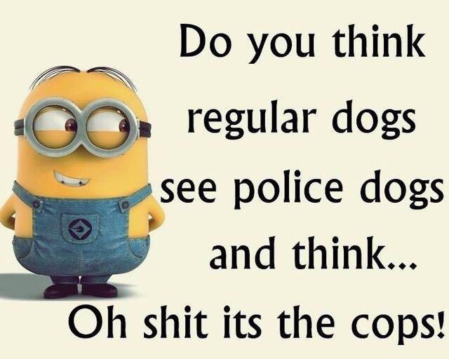 DonnaJamesRye68's tweet photo. Sorry about the language but I could not help myself. 😂🤣😂🤣😂🤣 https://t.co/LWcUJj385e
