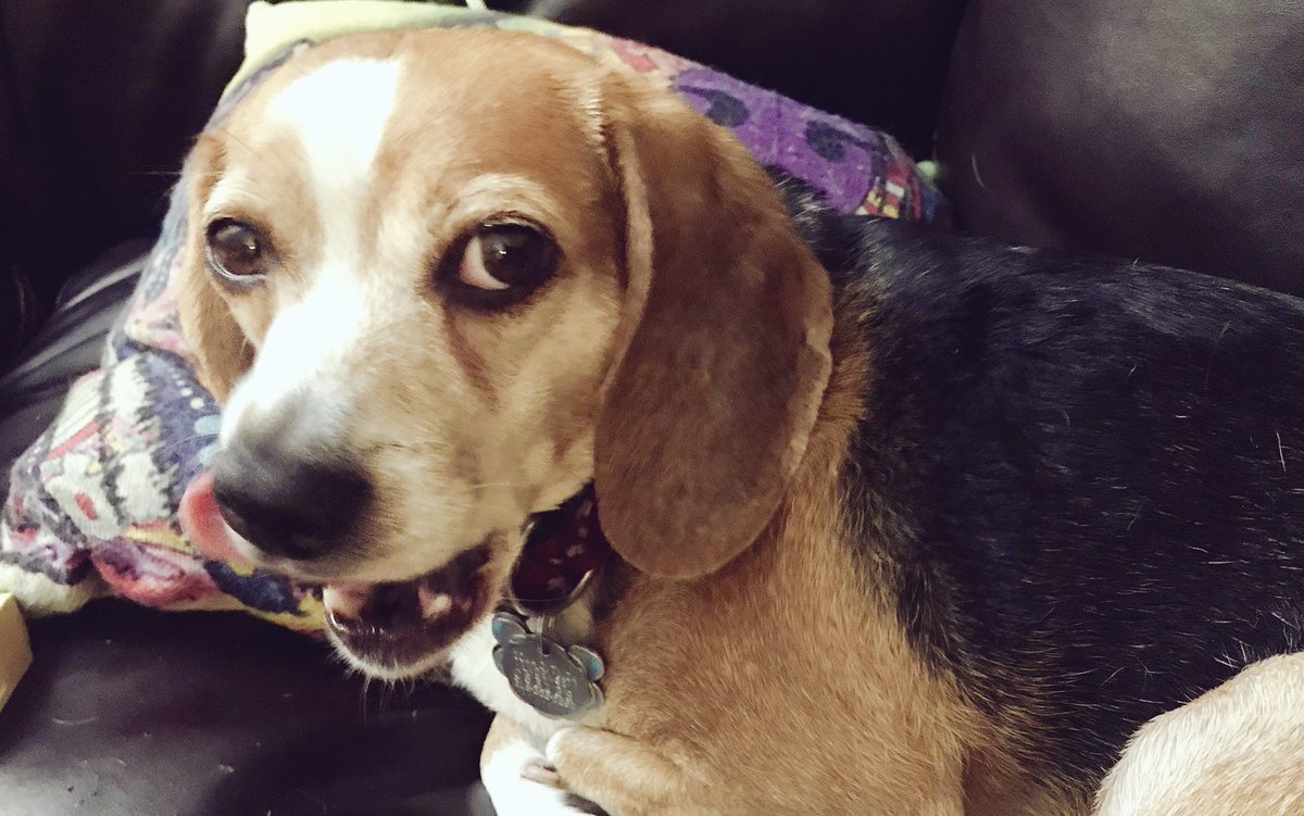 And another thing... breakfast was horrible! Terrible! I could barely choke it down!

Is there any more?