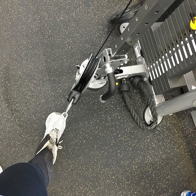 MedEdMediaCo's tweet photo. How are you working out today? Kill two birds with one stone by listening to #InsidetheBoard #podcast or listen to our #allaudioqbank while you #workout! .
.
#ITB #auditory #examprep #boardexam #USMLE #COMLEX #medstudents #medicalstudents #studysmarter #… https://t.co/SJojmVKzm8 https://t.co/wuU5WqgsHd