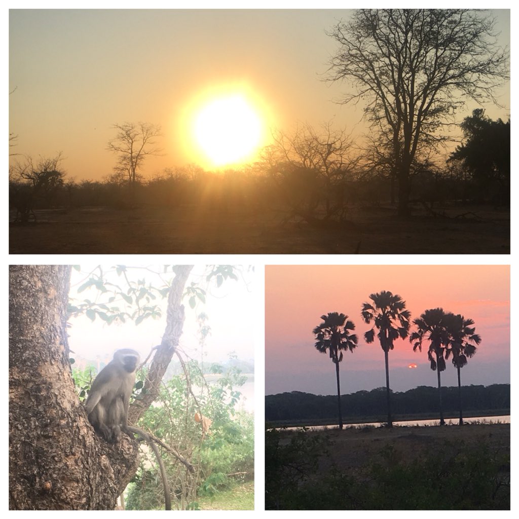 MissD_HT's tweet photo. What an amazing weekend @CAWSMW #MvuuLodge #Mvuu #LiwondeNationalPark #malawi #safari #hippo #elephant #baboon #missdisgoingtomalawi #MalawiLOL 🇲🇼❤️👌 https://t.co/EnVCZhimOY