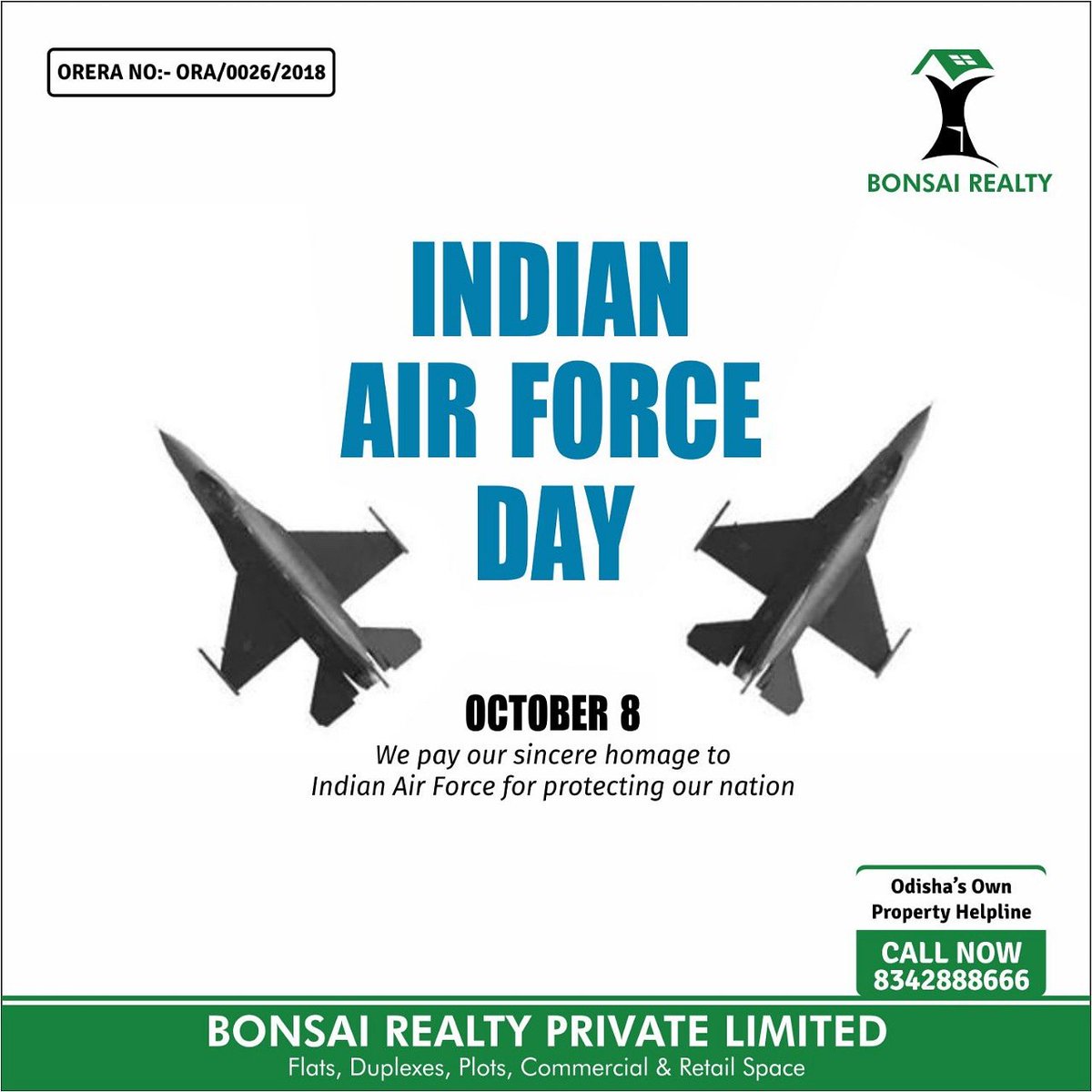world air force day