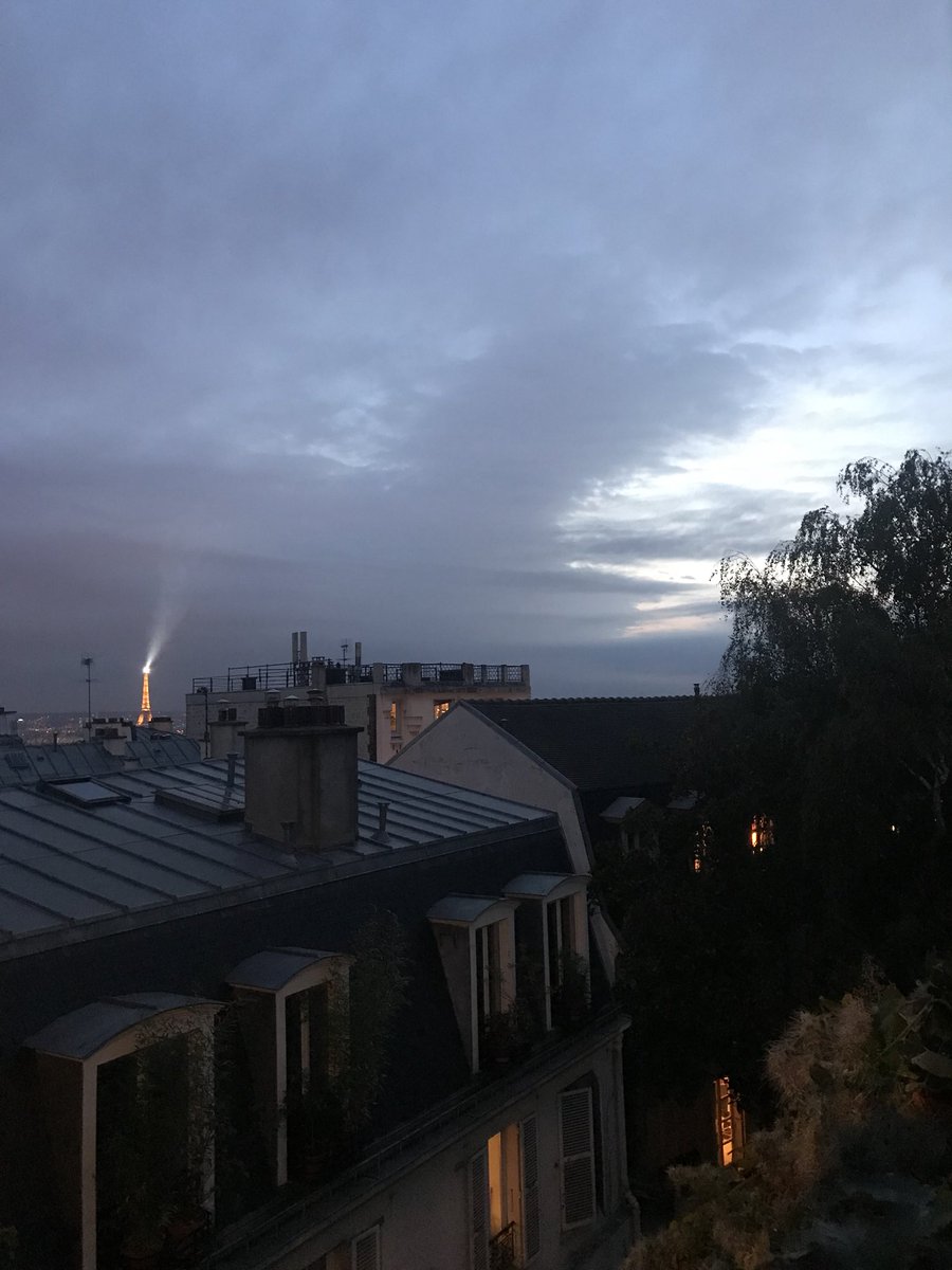 wings (@lilirobi2410) | Twitter