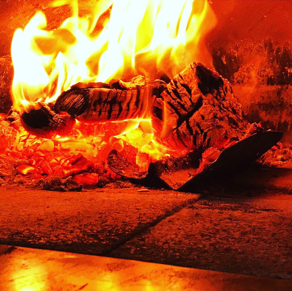 Pizza Traders tweet media