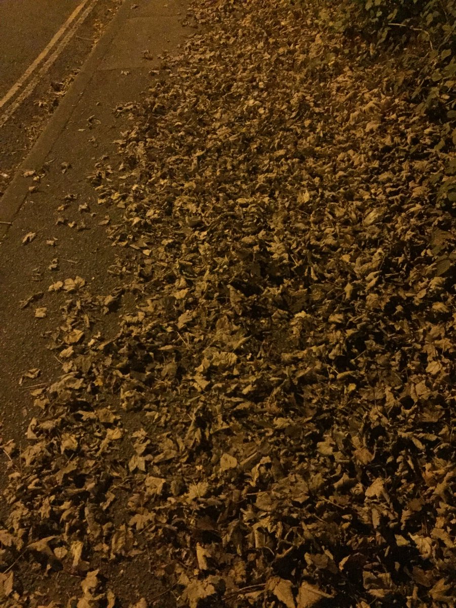 Why_EGrinstead's tweet photo. Hurrah ! It’s the season to scuff ones shoes through dry fallen leaves. #autumndelight https://t.co/6vpD3YeNW5