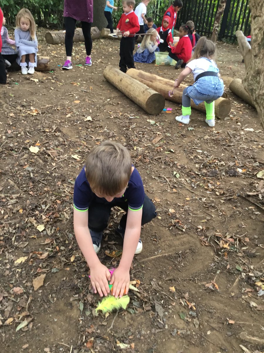 greenfieldseyfs's tweet photo. We are LOVING forest school this year in Reception. On Friday we made owl nests for the Owl Babies. π¦ππ #eyfsforestschool @greenfieldsps https://t.co/8OM47s72O3