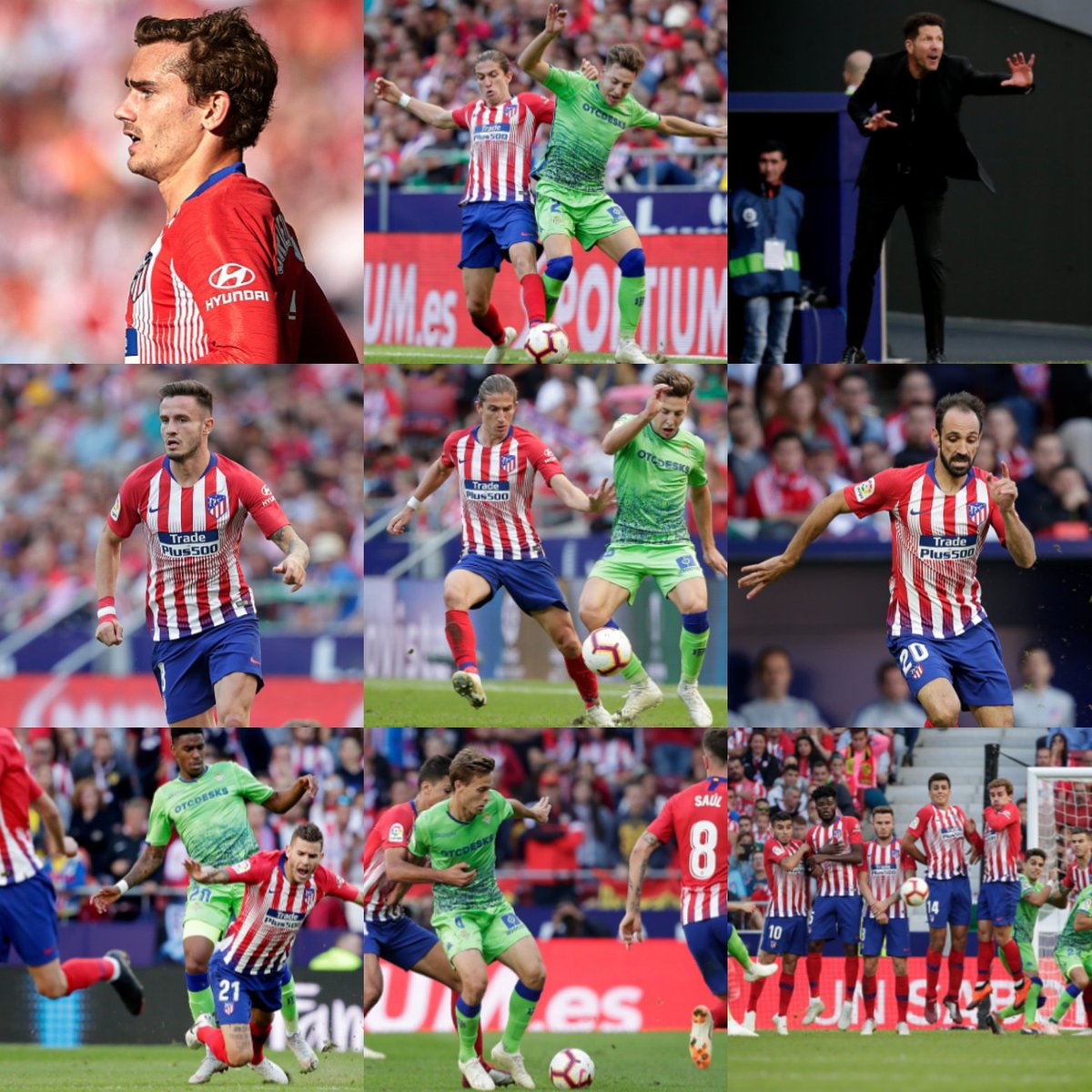 teamfanatletico's tweet photo. Victoire 1-0 de l'équipe. Angel Correa buteur des colchoneros 🔴⚪. On est pour l'instant 1er du championnat. #teamatleti #aupaatleti #atleti https://t.co/oGvBsfVu3g