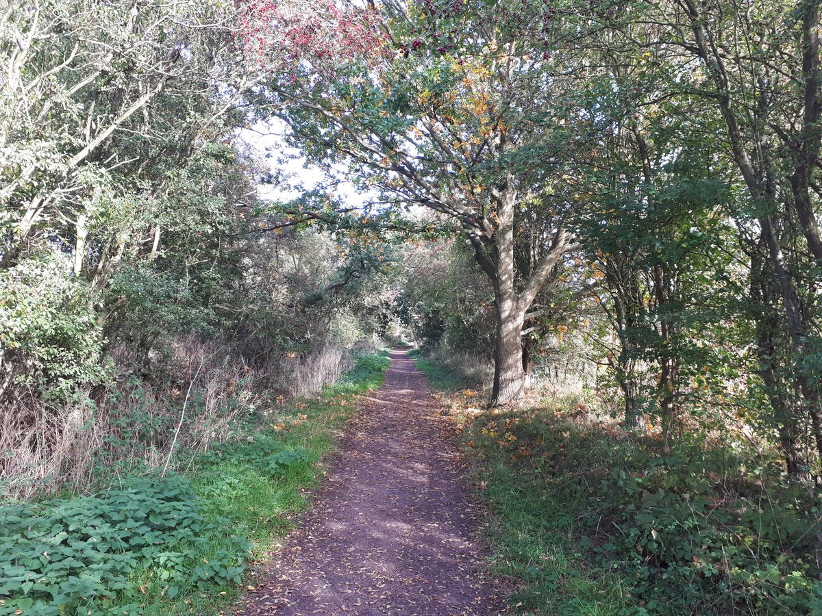 Flitch way, Essex. Fantastic wildlife corridor. We need more of these vital highways across the nation. #letsgetout #getoutside #lovenature #rewilding