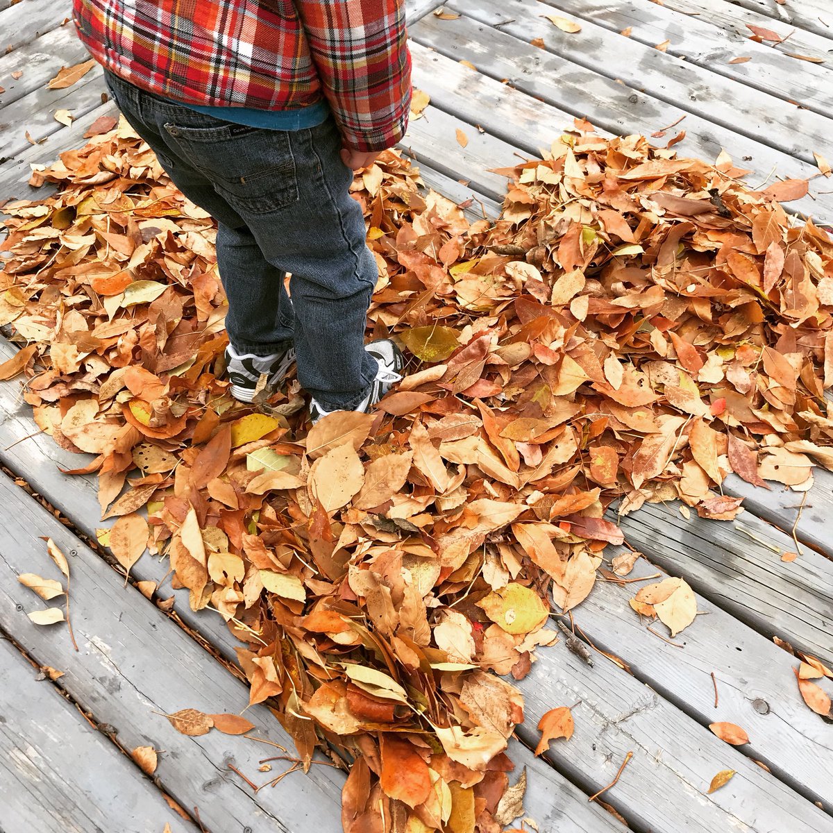 QltyClassrooms's tweet image. Happy thanksgiving Canada! See you after the long weekend! #Thanksgiving2018 #familyfun #leafpile