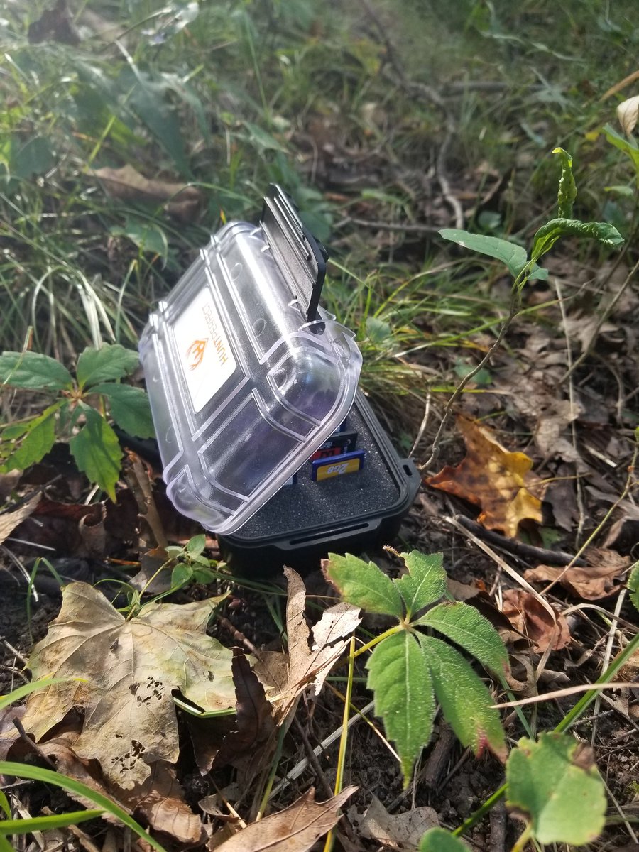 hunt_perfect's tweet photo. Our new Guardian SD card cases are now live on Amazon. Rugged, waterproof, and holds 16 cards! 

https://t.co/8iN2tP4e9b https://t.co/SYa9fE3v0L