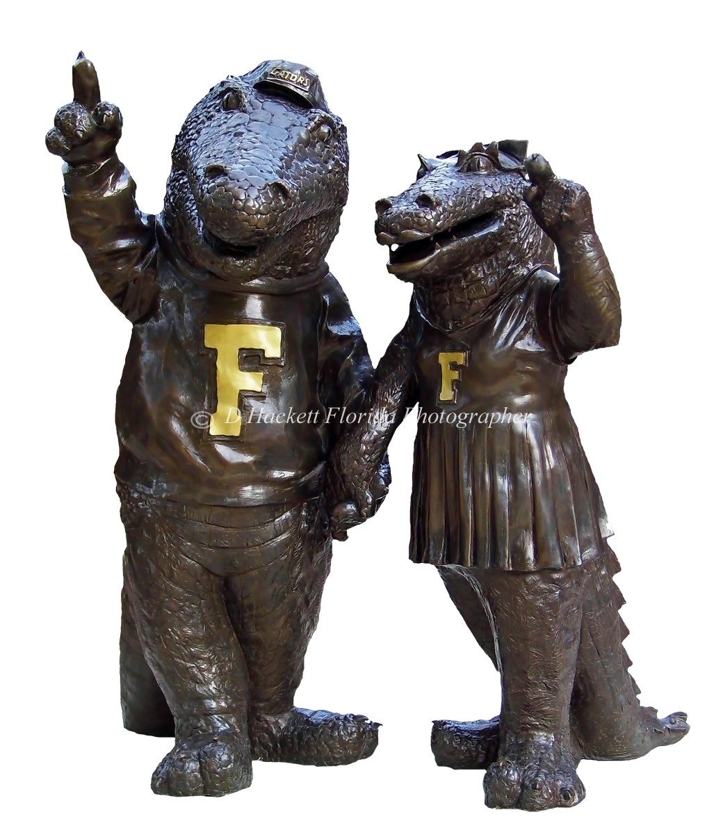 dhackett4150's tweet photo. #gators #uf #universityofflorida #theswamp #customizable customize #tshirt #homedecor #florida #hackett #dhackett https://t.co/y9lElpLpmA https://t.co/pZkLAQ5SF9