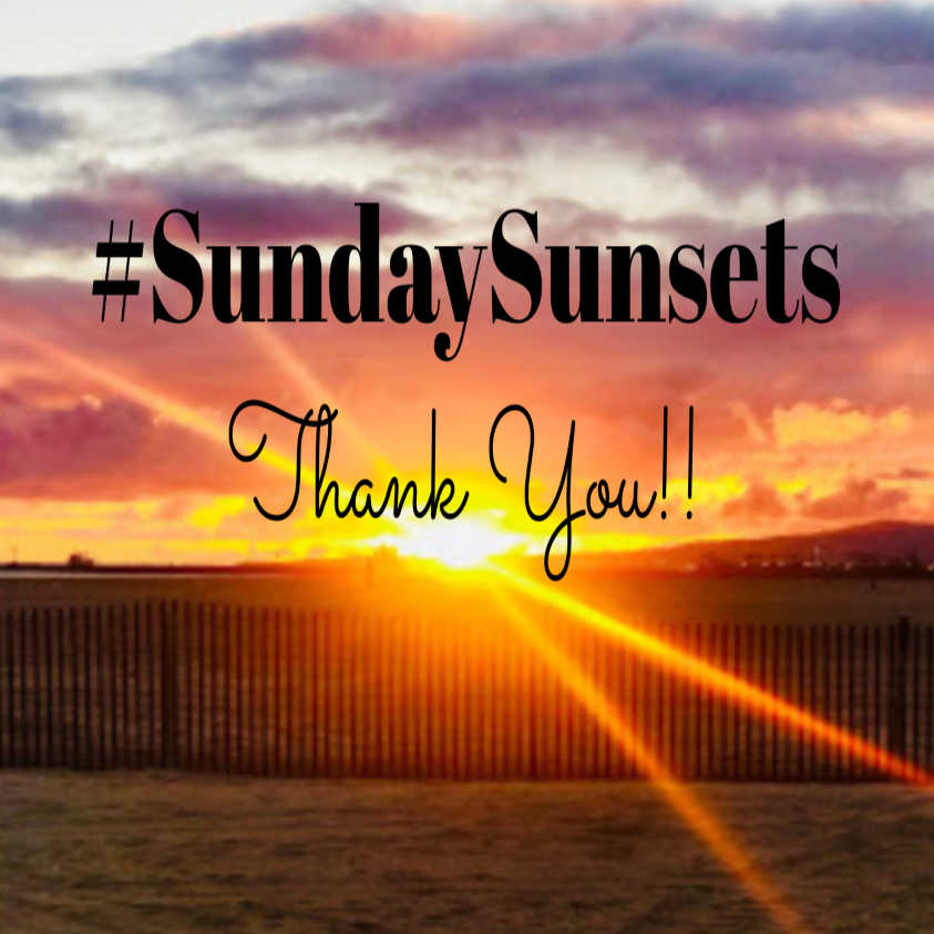 always5star's tweet photo. @FunInFairfax @UnCruise @CharlesMcCool @RoarLoudTravel @traveling1223 @WAVEJourney @AdventureCrtrs Wow!!! This is so special Julie!! #SSLegacy #SundaySunsets #Sunset #Travel #Uncruise https://t.co/5jNrkXxbPb