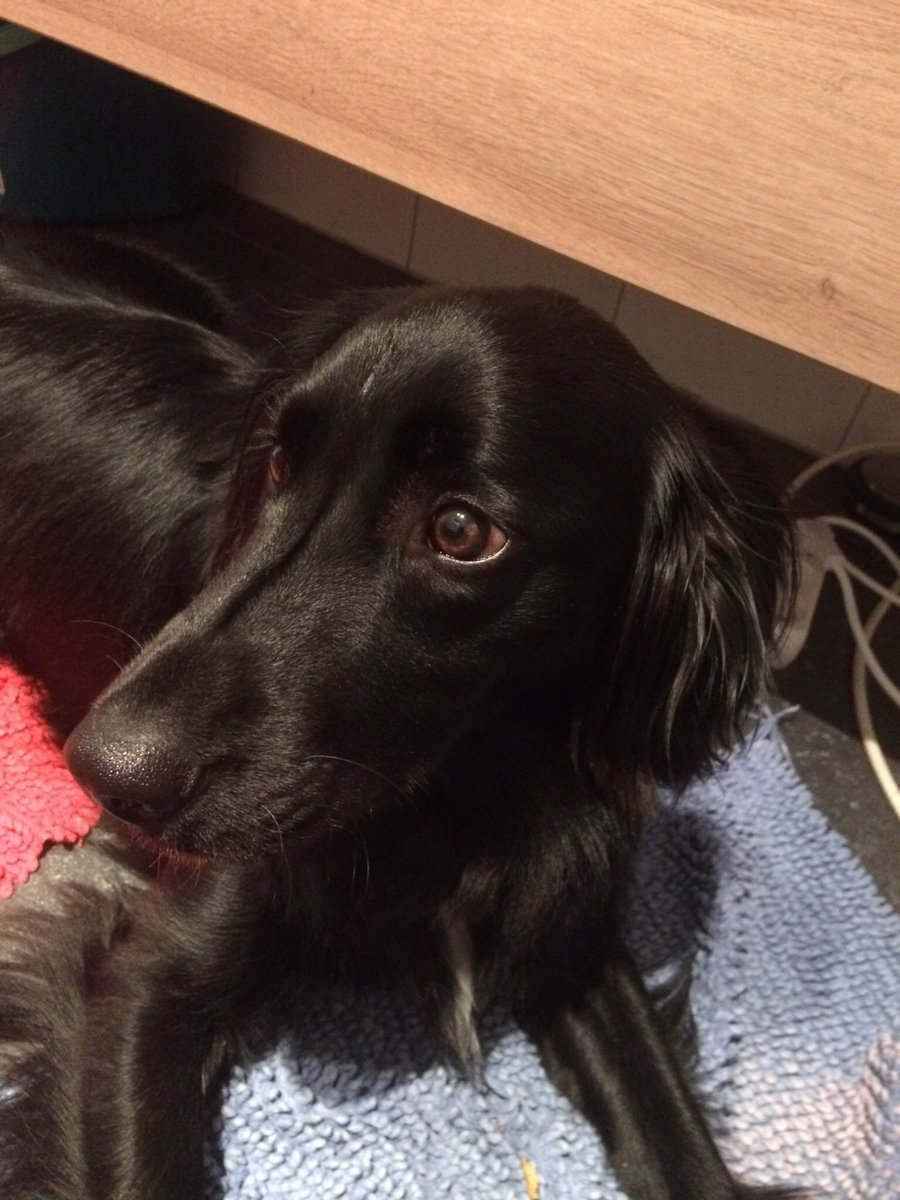 Jayaseeli 🇮🇳🇬🇧🇧🇪 tweet media