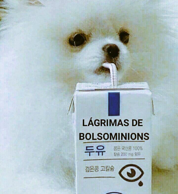 gabiruolimpio's tweet photo. #FraudeNasUrnasEletronicas
e nem acabou ainda kkkkkkkkkk https://t.co/m3K6ygAxk7