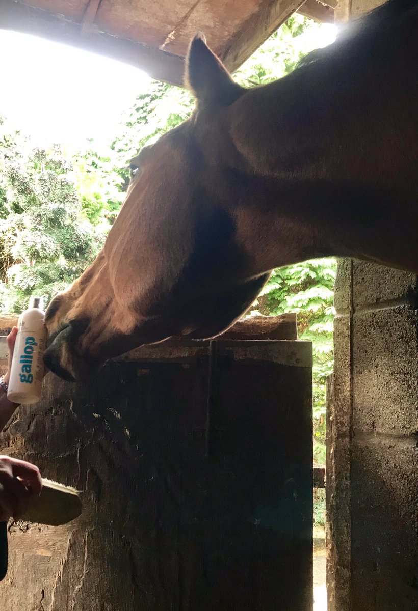 Caitlyn Saddington tweet media