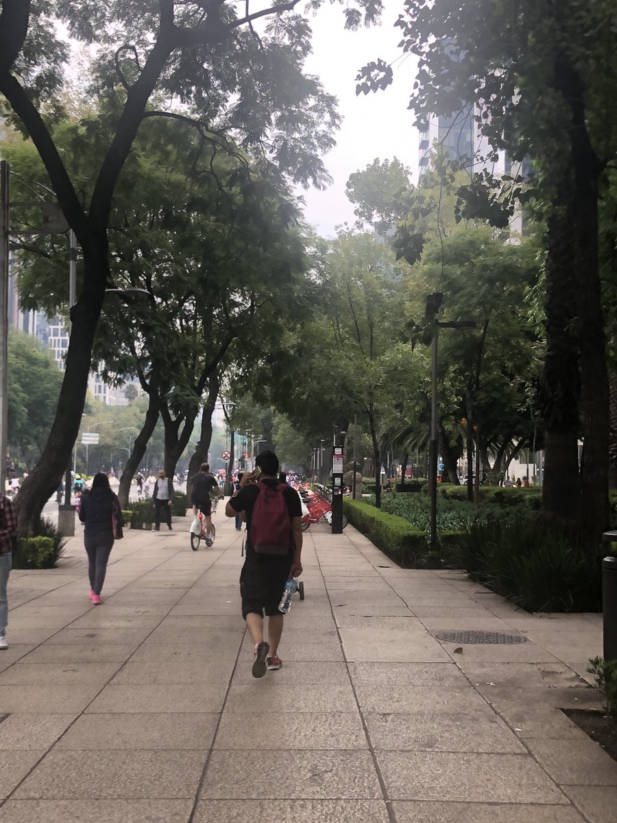 tumedicotv's tweet photo. Las caminatas de 30 minutos diaria disminuyen presión cardiaca y disminución de colesterol malo. #TuMédicoTV https://t.co/yAbjGBmbdk